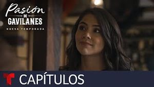 Video post by @telemundo on YouTube