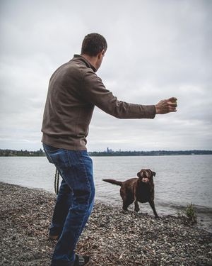 Image post by @willtrogdon on Instagram