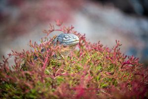 Image post by @kaptured.by.kir on Instagram