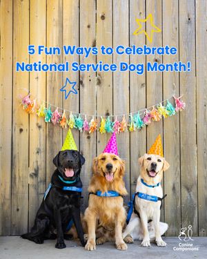 Image post by @canineorg on Instagram