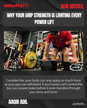 Image post by @elitefts on Instagram