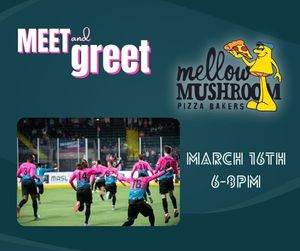 Image post by @stlouisambush on Instagram