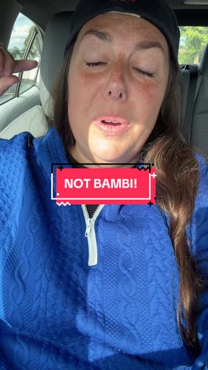 Video post by @teacherchronicles22 on TikTok