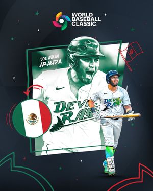 Image post by @raysbeisbol on Instagram