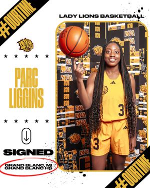 Image post by @uapblionswbb on Instagram