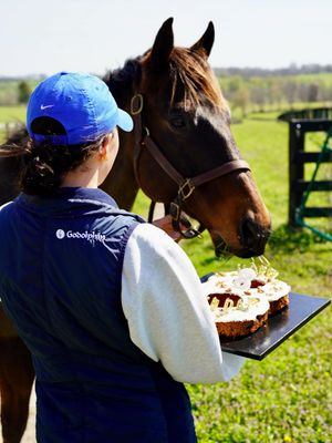 Image post by @godolphin on Instagram