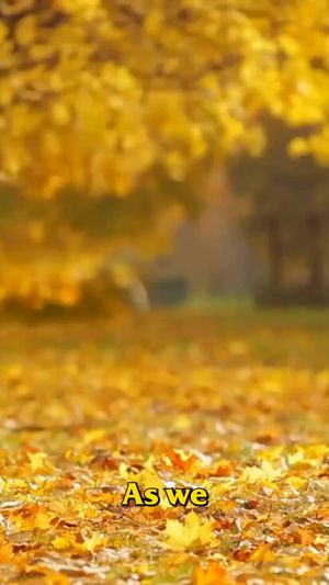 Video post by @bugbustersusa on Facebook