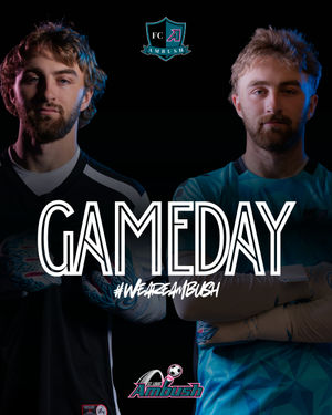 Image post by @stlouisambush on Instagram
