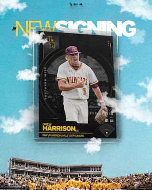 Image post by @southernmissbsb on Instagram