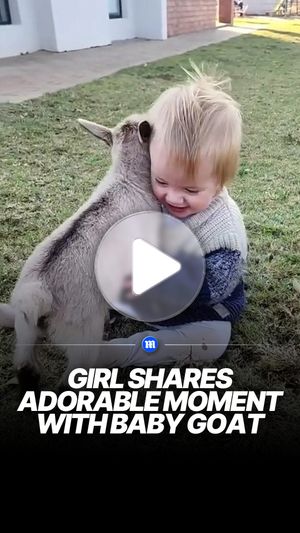 Image post by @dailymail on Instagram