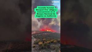 Video post by @laopinionla on YouTube