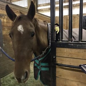 Image post by @nationalwestern on Instagram