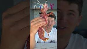 Video post by @chefnick on YouTube