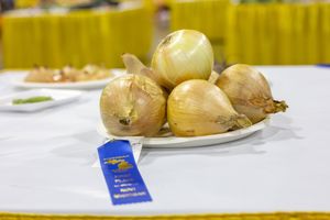 Image post by @MichiganStateFair on Facebook