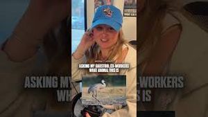 Video post by @barstooloutdoors on YouTube