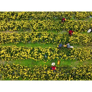 Image post by @zumapress on Instagram