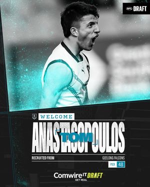 Image post by @pafc on Instagram