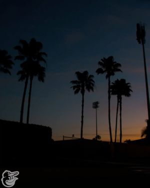 Image post by @orioles on Instagram