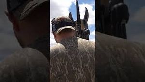 Video post by @barstooloutdoors on YouTube