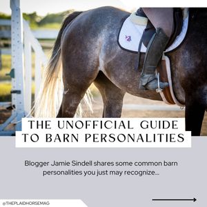 Image post by @theplaidhorsemag on Instagram