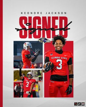 Image post by @isuredbirdfb on Instagram