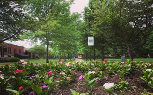 Image post by @marshallu on Instagram