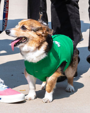 Image post by @unt on Instagram