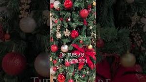 Video post by @breyeschow on YouTube