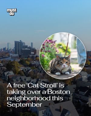 Image post by @mustdoboston on Instagram