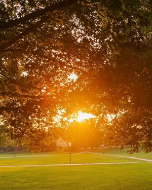 Image post by @virginia.tech on Instagram