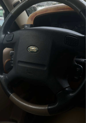 Video post by @frothyblonde on TikTok
