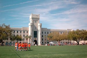 Image post by @cutigervision on Instagram