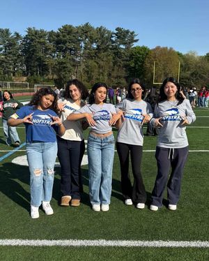 Image post by @hofstrau on Instagram