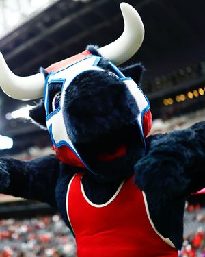 Image post by @texanstoro1 on Instagram