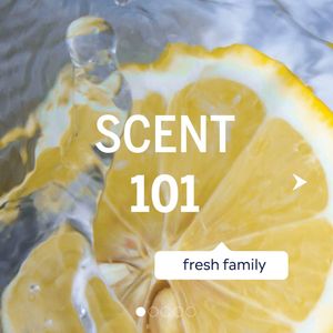 Image post by @scentbeauty on Instagram