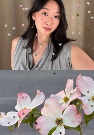 Video post by @sebinjeon on TikTok