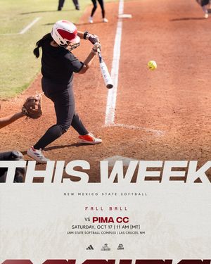 Image post by @nmstatesoftball on Instagram