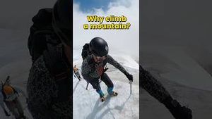 Video post by @tayloroneal on YouTube