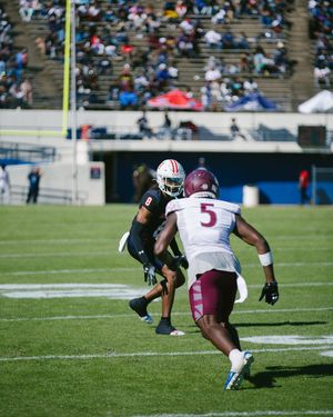 Image post by @gojsutigersfb on Instagram