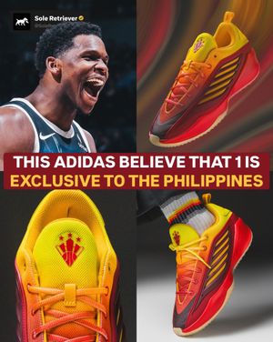 Image post by @soleretriever on Instagram