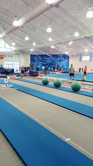 Video post by @floridagators on TikTok