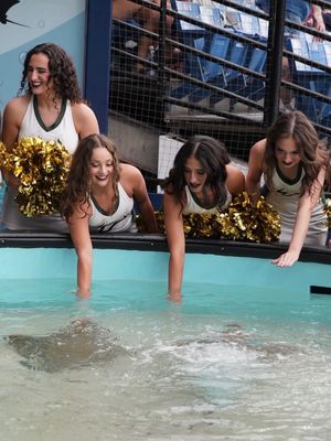Image post by @usfsundolls on Instagram
