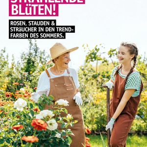 Image post by @oldenburgerwohngarten on Instagram