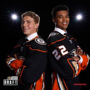Image post by @anaheimducks on Instagram