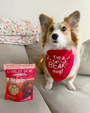 Image post by @charlee_bear_dogtreats on Instagram