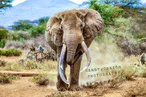 Image post by @rj51photos on Instagram