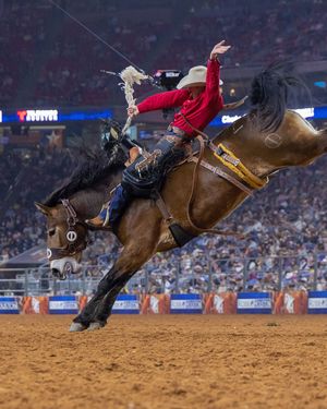 Image post by @rodeohouston on Instagram