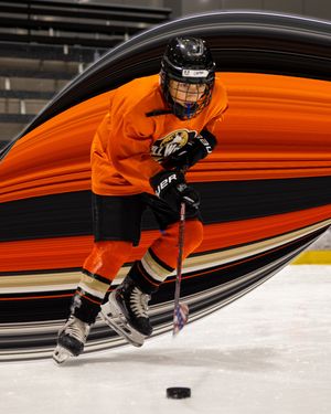 Image post by @the_rinks on Instagram