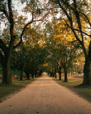 Image post by @jbyrne_photography on Instagram