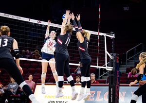 Image post by @elonvb on Instagram
